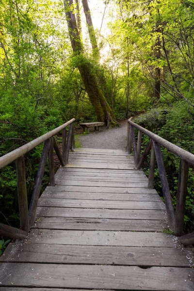 Shoreline Trail, Port Moody, Greater Vancouver, British Columbia, Canada — Foto Stock