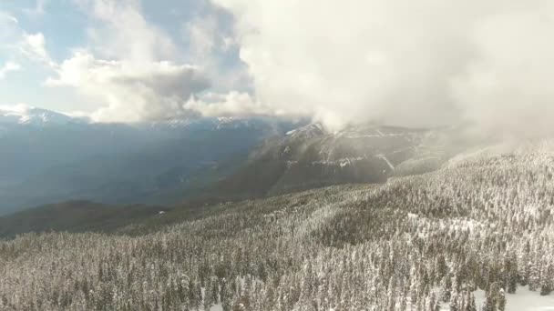 Letecký pohled na kanadskou přírodní krajinu na vrcholu zasněžené hory — Stock video