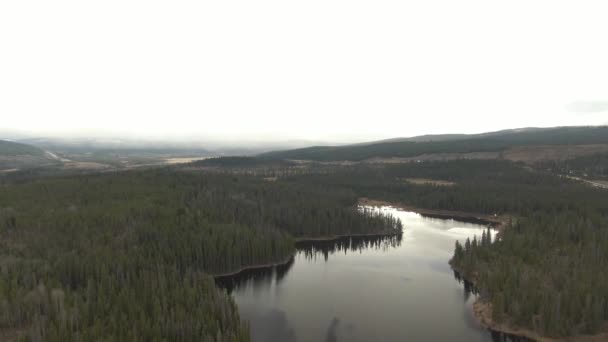 Luchtfoto van een meer in het Canadese landschap — Stockvideo