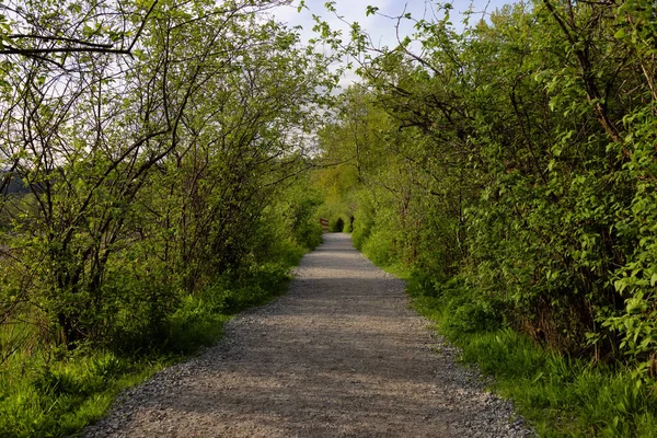 Shoreline Trail, Port Moody, Greater Vancouver, British Columbia, Canada — стокове фото