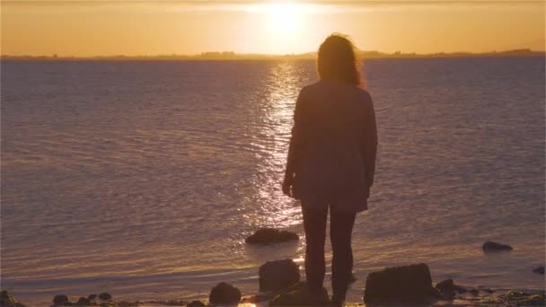 冒险的白人成年女子站在岩石沙滩上 — 图库视频影像