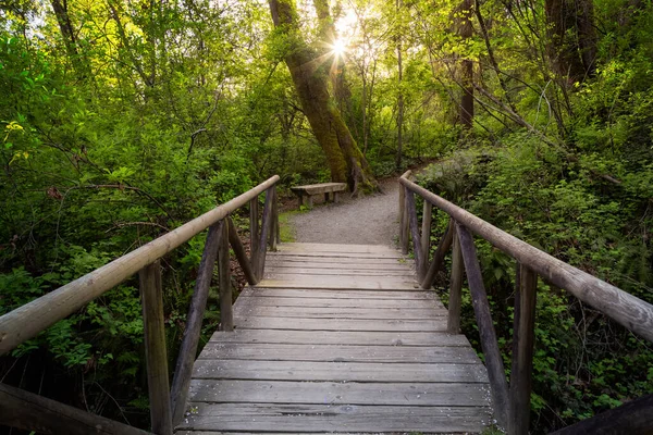 Shoreline Trail, Port Moody, Greater Vancouver, British Columbia, Canada — Foto Stock