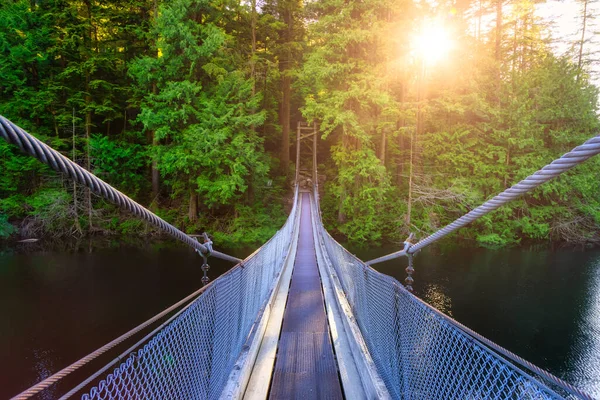 Vista del puente colgante sobre el agua en la selva tropical verde y vibrante — Foto de Stock