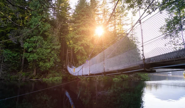 Vista del ponte sospeso sull'acqua nella foresta pluviale verde e vibrante — Foto Stock