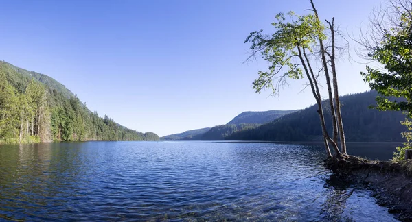 Lago Buntzen circondato dal paesaggio montano canadese — Foto Stock