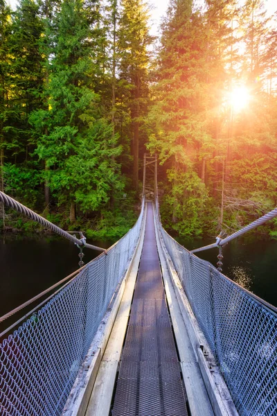 Vista del puente colgante sobre el agua en la selva tropical verde y vibrante — Foto de Stock