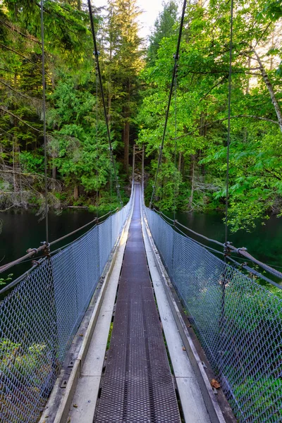 Vista del puente colgante sobre el agua en la selva tropical verde y vibrante — Foto de Stock