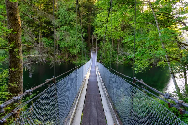 Vista del ponte sospeso sull'acqua nella foresta pluviale verde e vibrante — Foto Stock