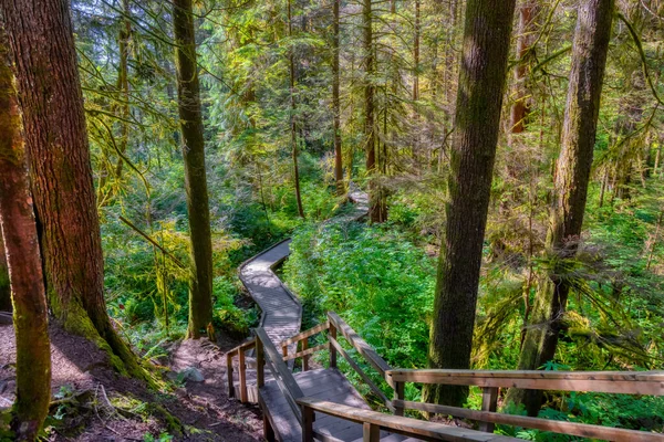 Lynn Canyon Park, North Vancouver, Columbia Británica, Canadá. — Foto de Stock