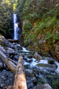 Norvan Şelaleleri ve nehir akıntısı doğal kanyonda