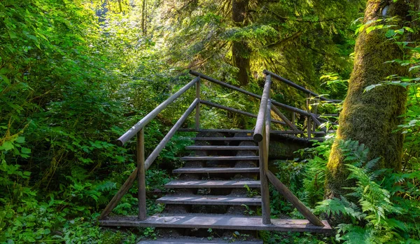 Lynn Canyon Park, North Vancouver, British Columbia, Canadá. — Fotografia de Stock