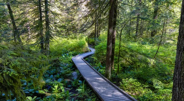 Lynn Canyon Park, North Vancouver, Columbia Británica, Canadá. — Foto de Stock