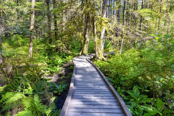 Lynn Canyon Park, North Vancouver, British Columbia, Canadá. — Fotografia de Stock