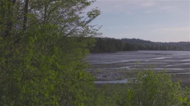 Shoreline Trail, Port Moody, Greater Vancouver, British Columbia, Kanada