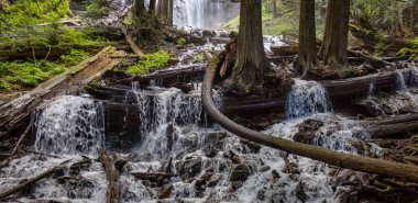 Chilliwack yakınlarındaki Gelinlik Şelalesi İl Parkı