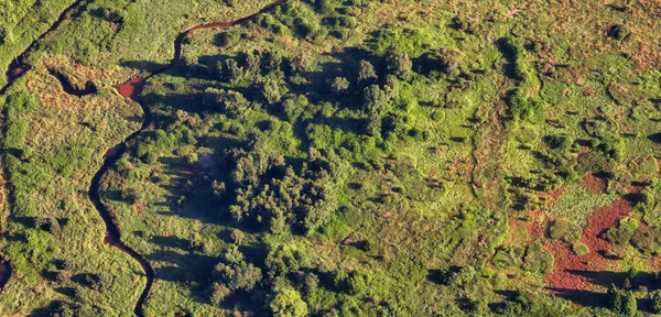 Vista aérea del pantano verde y los campos de humedales en un parque. — Foto de Stock