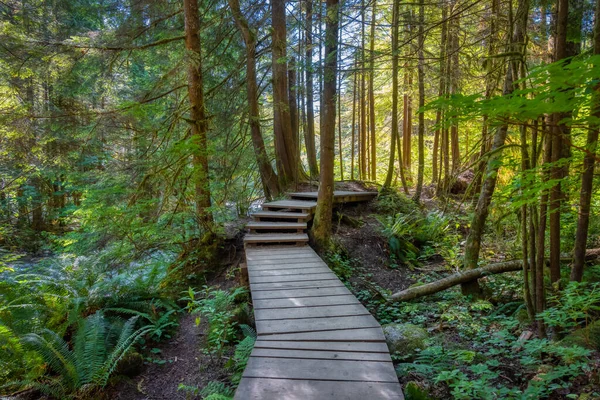 Lynn Canyon Park, North Vancouver, Columbia Británica, Canadá. — Foto de Stock