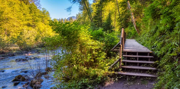 Lynn Canyon Park, North Vancouver, Columbia Británica, Canadá. — Foto de Stock