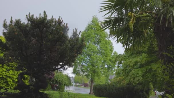 Pesanti piogge e grandine durante una tempestosa giornata primaverile in un giardino. — Video Stock