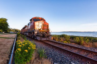 Sahilden geçen bir yük treni.