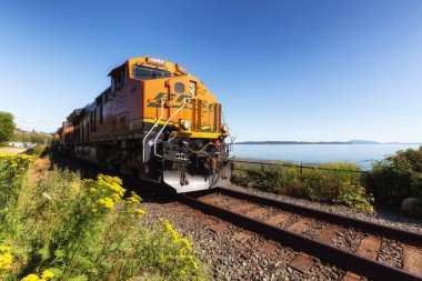 Sahilden geçen bir yük treni.