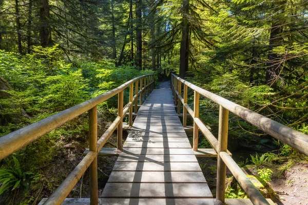 Lynn Canyon Park, North Vancouver, British Columbia, Canadá. — Fotografia de Stock