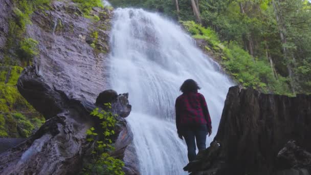 Γυναίκα βλέποντας τον καταρράκτη στο τροπικό δάσος του Καναδά. — Αρχείο Βίντεο