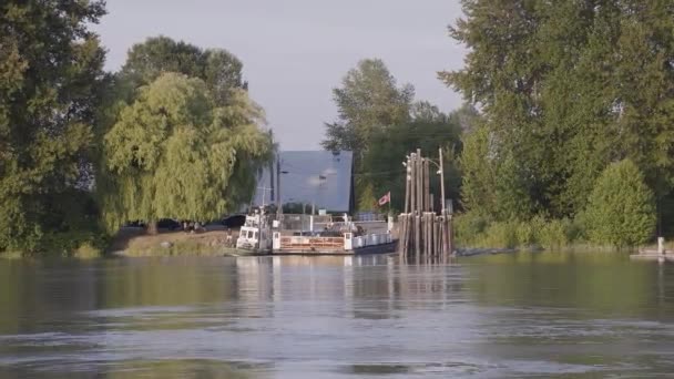 Barnston Island Traghetto che attraversa il fiume Fraser — Video Stock