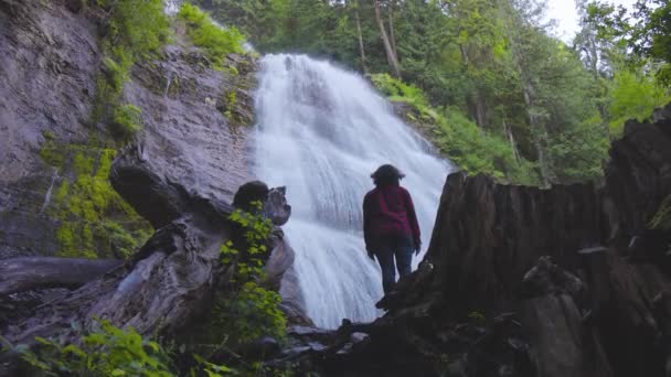 캐나다 우림에서 폭포를 구경하고 있는 여자. — 비디오