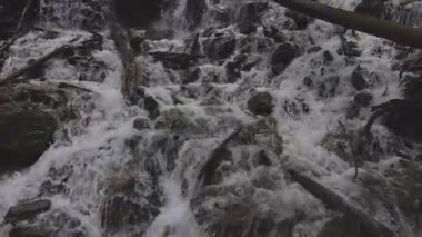 Chilliwack yakınlarındaki Gelinlik Şelalesi İl Parkı