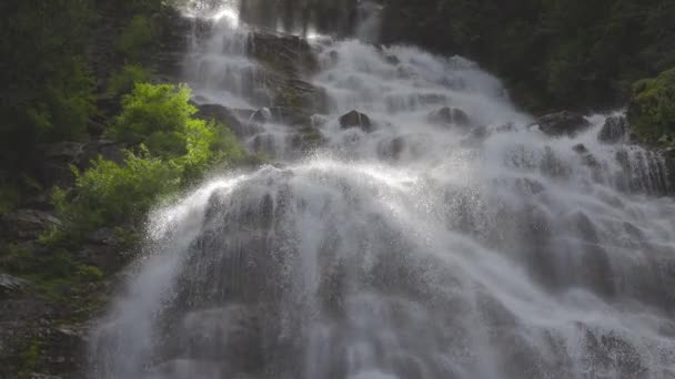 Провинциальный парк Bridal Veil Falls возле Чилливака — стоковое видео