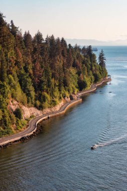 Stanley Park 'taki Lions Gate Köprüsü' nden hava görüntüsü..
