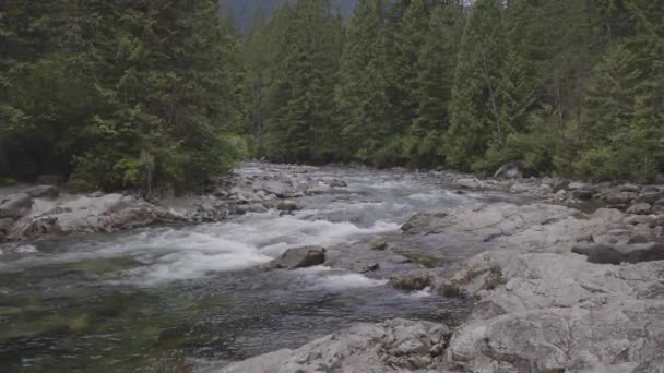 Vista panorámica del río en el paisaje montañoso canadiense — Vídeo de stock