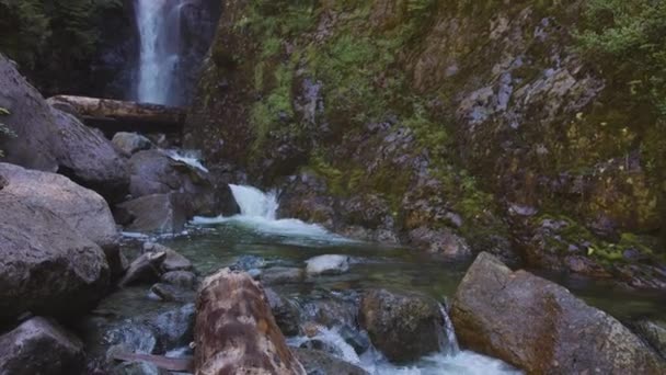 Chutes Norvan et cours d'eau dans le canyon naturel — Video