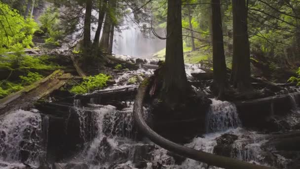 Bridal Veil Falls Provincial Park in der Nähe von Chilliwack — Stockvideo