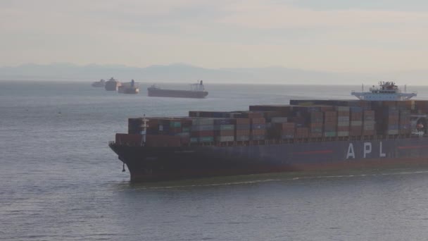 Вантажне судно прибуває до порту на західному узбережжі Тихого океану. — стокове відео