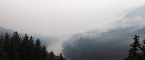 森林火災による煙に覆われた谷. — ストック写真