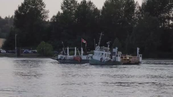 Пором на острові Барнстон проходить через річку Фрейзер. — стокове відео