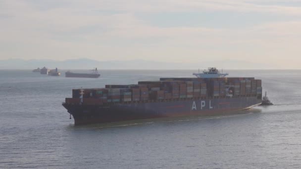 Navio de carga que chega ao porto na costa oeste do Oceano Pacífico — Vídeo de Stock