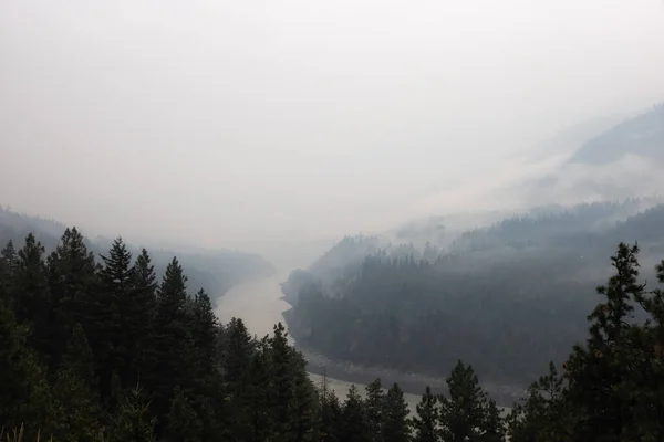 Vale coberto por fumaça de Forest Wildfire. — Fotografia de Stock