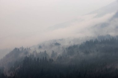 Orman yangınından çıkan dumanla kaplı bir vadi.