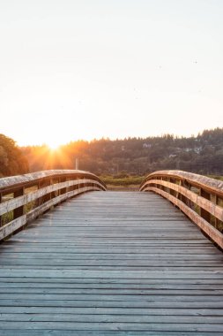Şehir parkındaki bir nehirden geçen köprü.