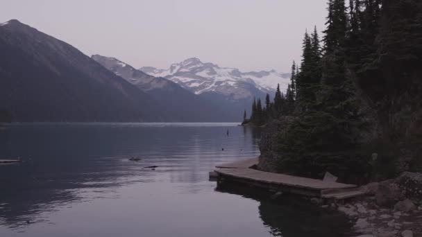 Visa av kanadensiska naturen Landskap — Stockvideo