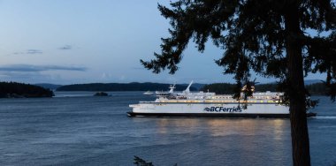 BC Feribot Swartz Körfezi Terminalinden ayrılıyor.