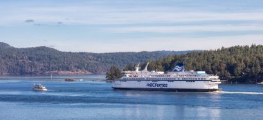 BC Feribot Swartz Körfezi 'ndeki Terminale gidiyor.