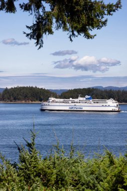 BC Feribot Swartz Körfezi Terminalinden ayrılıyor.