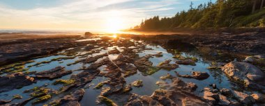 Pasifik Okyanusu 'nun batı kıyısındaki Botanik Plajı.