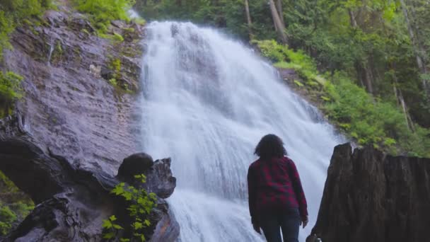 Vrouw kijkt naar de waterval in het Canadese regenwoud. — Stockvideo