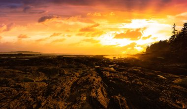 Pasifik Okyanusu 'nun batı kıyısındaki Botanik Plajı.