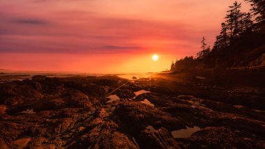 Pasifik Okyanusu 'nun batı kıyısındaki Botanik Plajı.